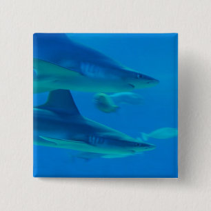 Badge Carré 5 Cm Paires de bouton de requins