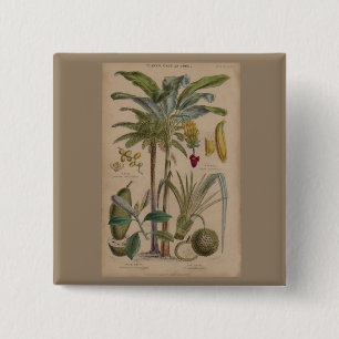 Badge Carré 5 Cm Palm Antique Fruit Tropical Art Botanique