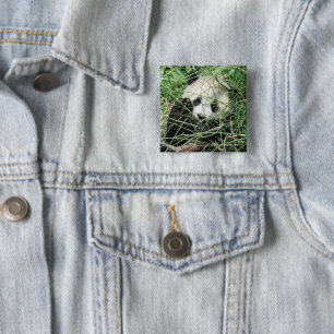 Badge Carré 5 Cm Panda géant se cachant dans l'herbe