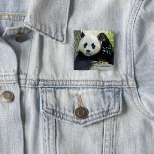 Badge Carré 5 Cm Panda géant se reposant contre l'arbre