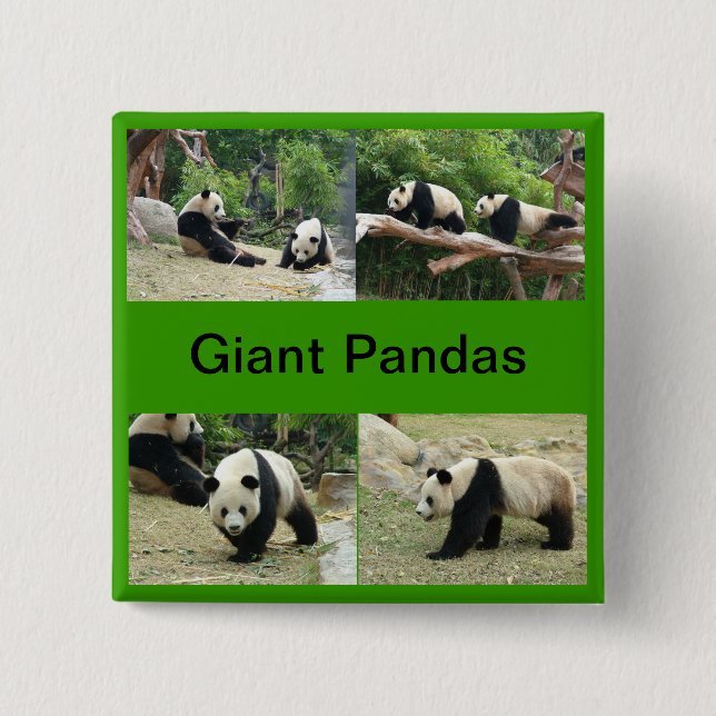 Badge Carré 5 Cm pandas géants (Devant)