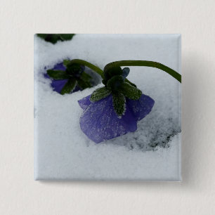 Badge Carré 5 Cm Pansy violet sur la neige