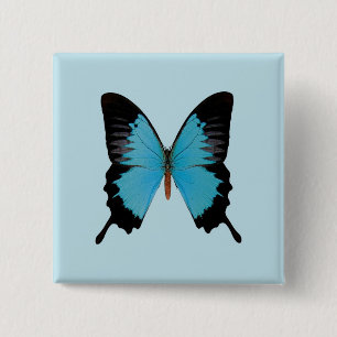 Badge Carré 5 Cm Paon Royal