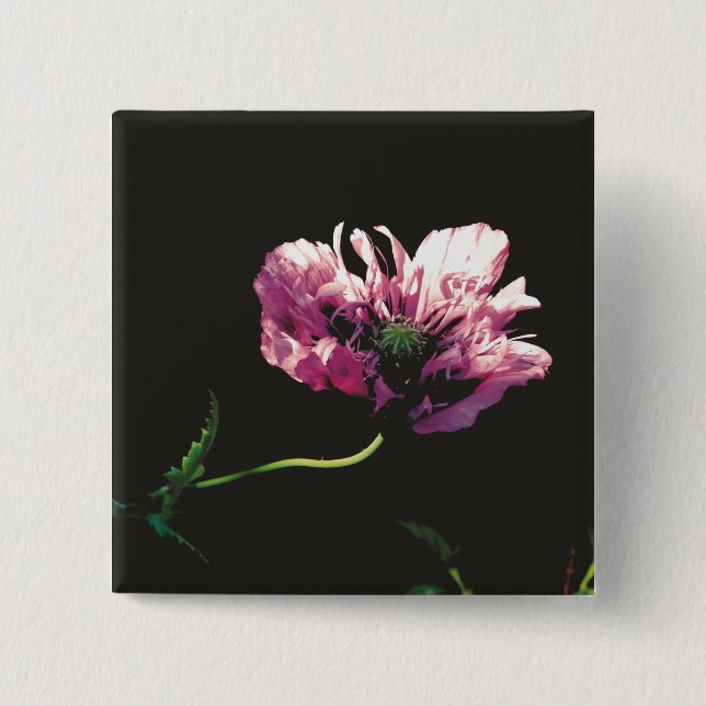 Badge Carré 5 Cm Papaver Sugarplum (Devant)