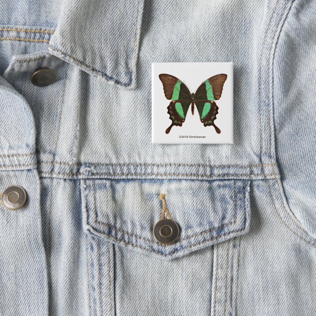 Badge Carré 5 Cm Papillon vert de machaon (En situation)