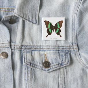 Badge Carré 5 Cm Papillon vert de machaon