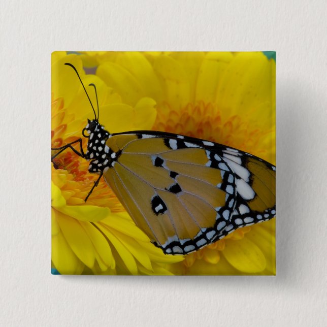 Badge Carré 5 Cm Papillons Tropicaux (Devant)