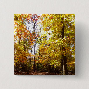 Badge Carré 5 Cm Parc de Greenbelt en automne II Scène de la nature