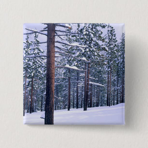 Badge Carré 5 Cm PARC D'ÉTAT DU LAC TAHOE, NEVADA. ÉTATS-UNIS. Neig