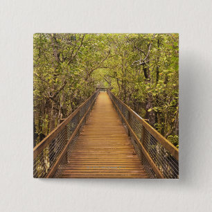 Badge Carré 5 Cm Parc national de Daintree (patrimoine mondial de