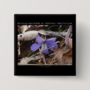 Badge Carré 5 Cm Parc national de Hot Springs, AR Cadeaux Violettes