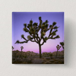 BADGE CARRÉ 5 CM PARC NATIONAL DE JOSHUA TREE, CALIFORNIE. ÉTATS-UN