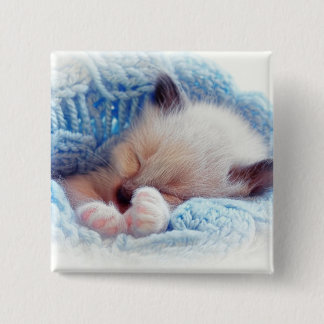 Badge Carré 5 Cm Pattes siamoises de chaton de sommeil