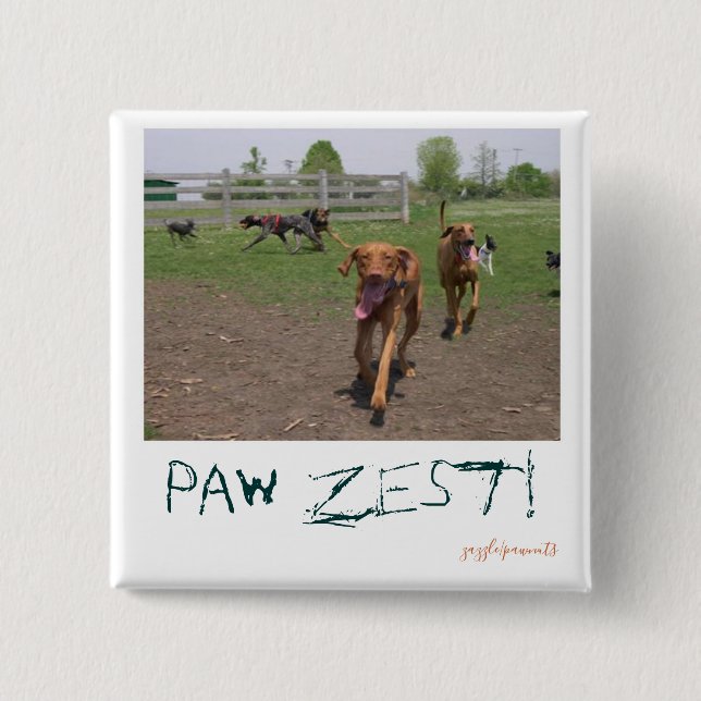 Badge Carré 5 Cm Paw zest ! (Devant)