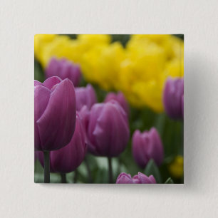Badge Carré 5 Cm Pays-Bas aka Hollande), Lisse. Keukenhof 10