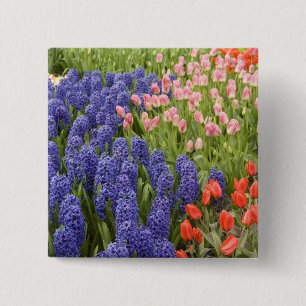 Badge Carré 5 Cm Pays-Bas aka Hollande), Lisse. Keukenhof 2