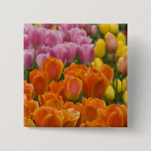 Badge Carré 5 Cm Pays-Bas aka Hollande), Lisse. Keukenhof 4
