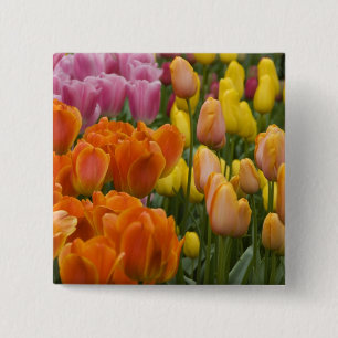 Badge Carré 5 Cm Pays-Bas aka Hollande), Lisse. Keukenhof 9