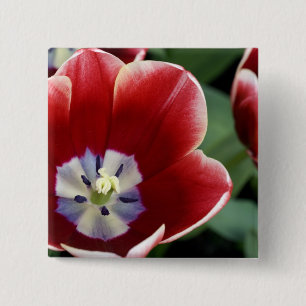 Badge Carré 5 Cm Pays-Bas (aussi appelé Hollande), Lisse. Keukenhof