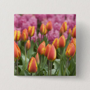 Badge Carré 5 Cm Pays-Bas (aussi appelé Hollande), Lisse. Keukenhof