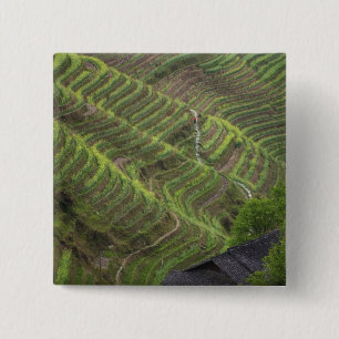 Badge Carré 5 Cm Paysage de rizières en terrasses dans la montagne,