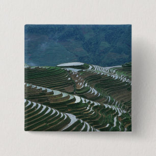 Badge Carré 5 Cm Paysage de rizières en terrasses dans la montagne,