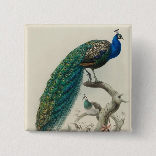 Badge Carré 5 Cm Peacock vintage (Devant)