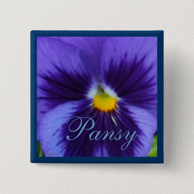 Badge Carré 5 Cm Pensée bleue violette (Devant)