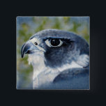 Badge Carré 5 Cm Peregrine-aérographe<br><div class="desc">Les faucons pèlerins sont des rapaces de taille de corbeau,  célèbres pour leur vitesse et leur beauté. L'artiste de la faune Kathie Miller a capturé ce magnifique oiseau de proie avec l'aérographe.</div>