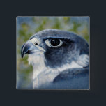 Badge Carré 5 Cm Peregrine-aérographe<br><div class="desc">Les faucons pèlerins sont des rapaces de taille de corbeau,  célèbres pour leur vitesse et leur beauté. L'artiste de la faune Kathie Miller a capturé ce magnifique oiseau de proie avec l'aérographe.</div>