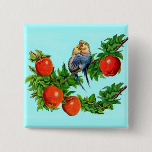 Badge Carré 5 Cm perroquets amoureux