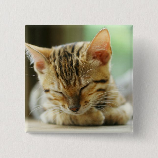 Badge Carré 5 Cm Petit bébé de sommeil Kitty (Devant)