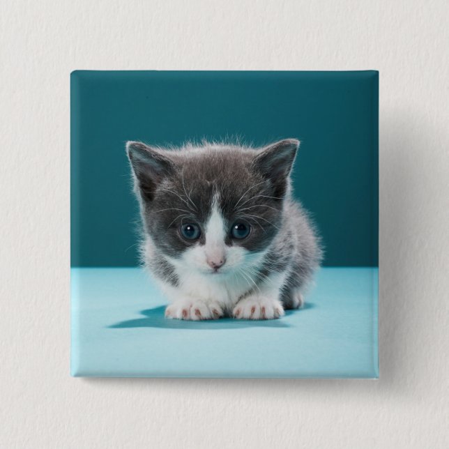 Badge Carré 5 Cm Petit chaton (Devant)