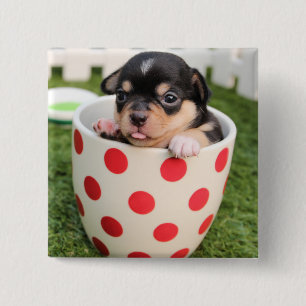Badge Carré 5 Cm Petit chien dans la tasse
