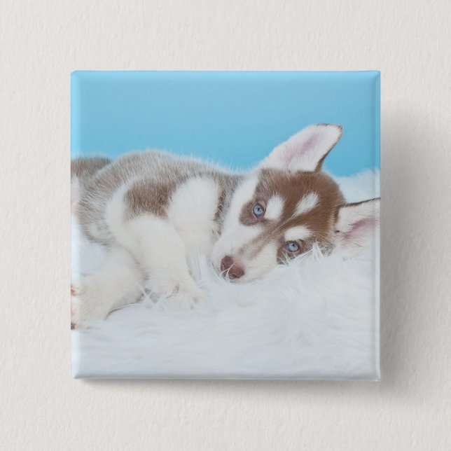 Badge Carré 5 Cm Petit Chiot Husky allongé sur une couverture (Devant)