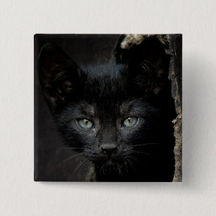 Badge Carré 5 Cm Petit Kitty noir