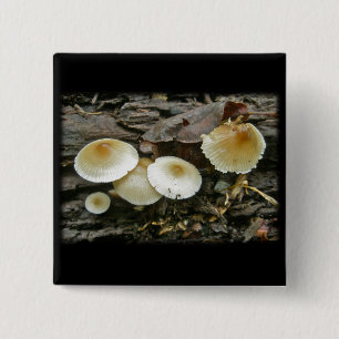 Badge Carré 5 Cm Petits Parasols Champignons en rondins