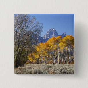 Badge Carré 5 Cm Peupliers faux-trembles avec la chaîne de montagne