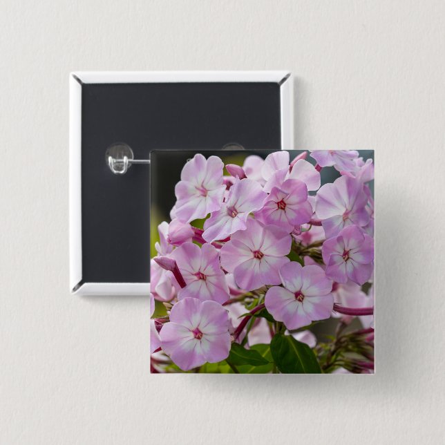 Badge Carré 5 Cm Phlox Botanique Rose Vibrant (Devant & derrière)
