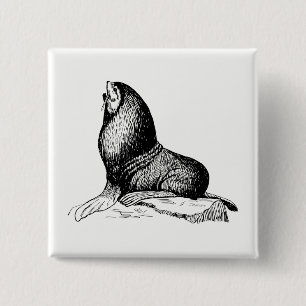 Badge Carré 5 Cm Phoque