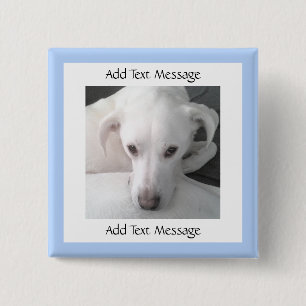 Badge Carré 5 Cm Photo Du Chien Unique White Labrador Retriever Mix