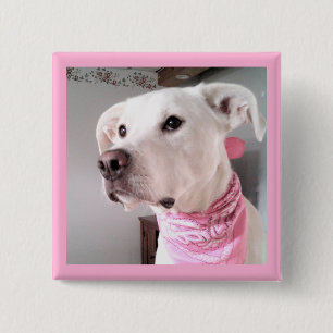 Badge Carré 5 Cm Photo d'un mignon Chien blanc portant une écharpe 