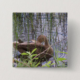 Badge Carré 5 Cm Photo en gros plan d'un canard