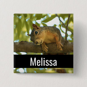 Badge Carré 5 Cm Photo nature d'écureuil mignonne et curieuse