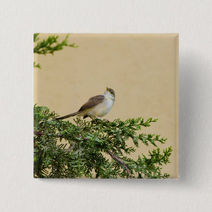 Badge Carré 5 Cm Photographie charmante d'un oiseau moineau