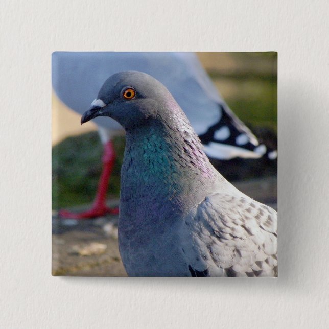 Badge Carré 5 Cm Pigeon (Devant)