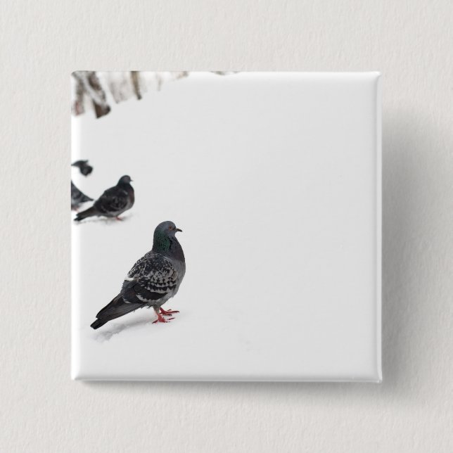 Badge Carré 5 Cm Pigeons (Devant)
