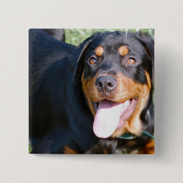 Badge Carré 5 Cm Pin amical de rottweiler (Devant)