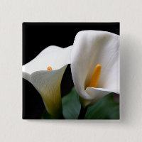 Pin blanc de carré de fleur de zantedeschia