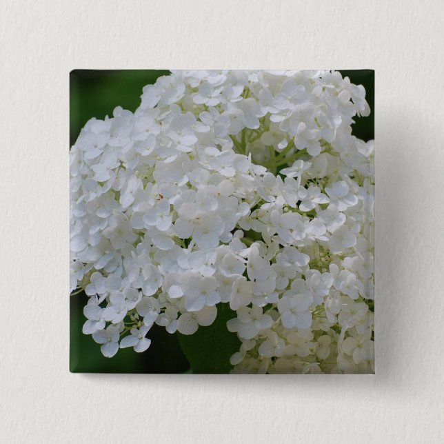 Badge Carré 5 Cm Pin blanc d'hortensias (Devant)